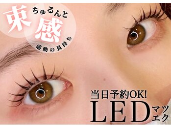 アッシュ 名駅店(ASCH)/ LEDマツエク120本つけ放￥7,500