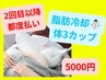 2回目以降都度【脂肪冷却】冷却カップ1つ30分×1セット！計1箇所【男女OK】