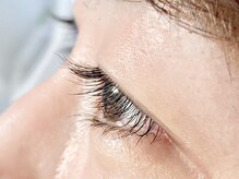 ロベリア 恵比寿(Lobelia)/まつ毛パーマ