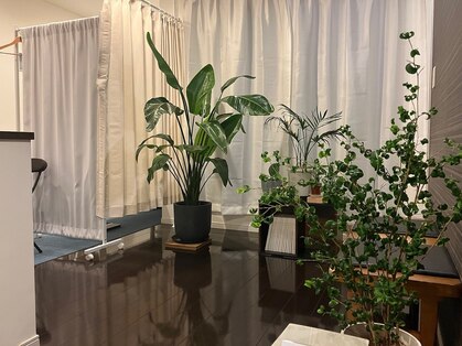 なごみや(NAGOMIYA)の写真