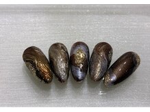 ティアラ(tiara)/ブラウンニュアンス★