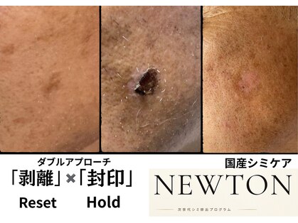 レガート(Legato)の写真