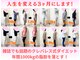 クレバレスの写真