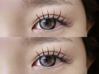 アイリー 博多(ily)/バインドロック120束