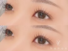 高級抗菌セーブル100本