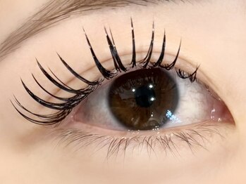 ローバー(ROVER)/＆healthy