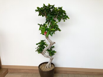 篠ノ井まる鍼灸院 整骨院/【お店の雰囲気】