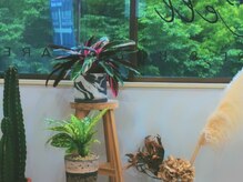 セル(Cell)/おおきな窓や植物に癒される店内