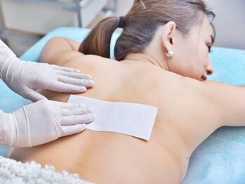 リザ(LIZA)/背術風景