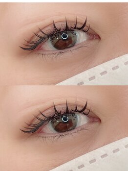 シュエット(Chouette)/ダブルフラットラッシュ100束