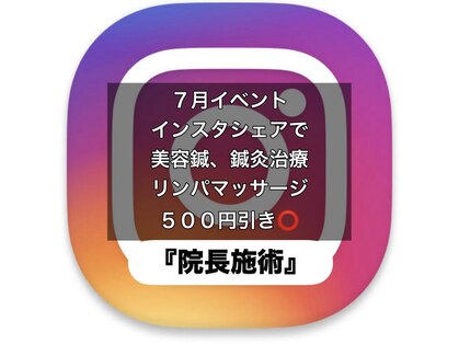 サボテンの写真