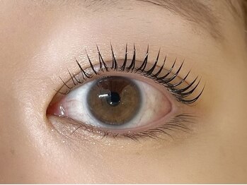 ソファ 立川(sofa)/Parisienne Lash lift［立川］