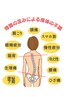 ここから【カイロプラクティック】のメニューになります↓↓