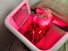 【再来・都度払いの方】 育毛促進鍼+LED+ヒト幹細胞