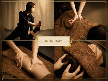エムプラス(m+)の写真