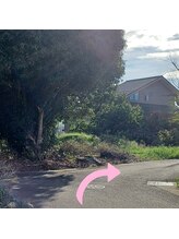 クレール(clair)/道なりにお進みください。