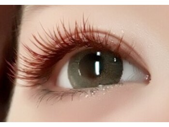 ハニービー(Honey B)/オールワインレッド