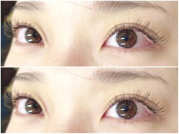 クチュール アイラッシュ(Couture Eyelash)/バインドロック 100束