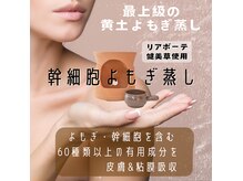 サリーサロン(SallySalon)の雰囲気（幹細胞含む60種類以上の有用成分を皮膚や粘膜からたっぷり吸収♪）