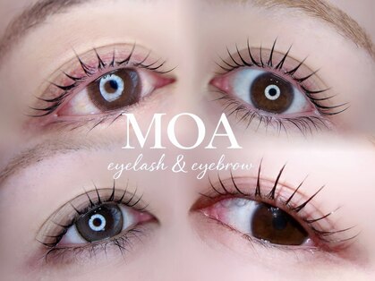 モア(MOA)の写真