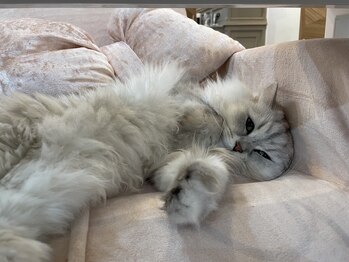 ルダリドゥー 東銀座店(Le Dali Deux)/ぴょんさん