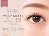 【お試し価格!120本まで】セーブル ¥4400/フラットラッシュ ¥4950