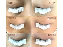 パインツリー(pine tree)/私のまつげ記録