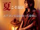 エニー(Any)の写真