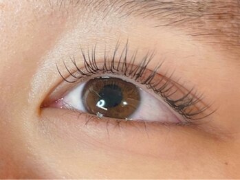 ウルカ アイラッシュ(uruka EYELASH)/フラットラッシュ 80本