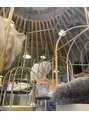 リビング(LIVING) 最近行った猫カフェです!