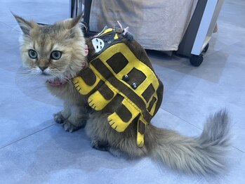 ルダリドゥー 東銀座店(Le Dali Deux)/ピエールさん