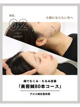 アロエ鍼灸整体院/美容鍼80本コース|心斎橋