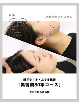 アロエ鍼灸整体院/美容鍼80本コース|心斎橋