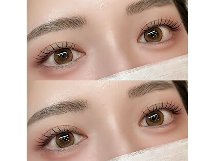 リリー(Lily)の写真