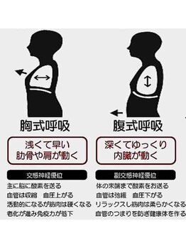 やまと接骨院/小牧/肩甲骨/腰痛/骨盤矯正