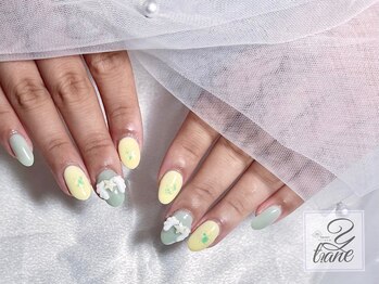 定額デザイン/シンプル