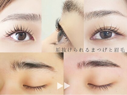 シファ(Sifa.)の写真
