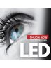 【他店オフ込み】LEDシングルラッシュ120本まで