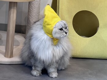 ルダリドゥー 東銀座店(Le Dali Deux)/ぴょんさん