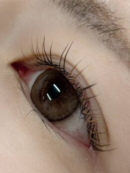 ドール(DOLL)の写真/つけ放題もお得♪自まつ毛のような自然な付け心地で、モチも抜群◎密度感でより濃いまつ毛で目力UP◎