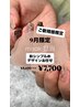 9月ご新規様限定、オフ込み【misakiネイル担当】秋シンプルめデザインお任せ