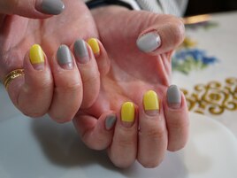 Hand Standard plan 488.