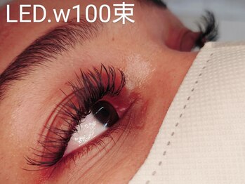 アポストロフィエス/LED 2D100束