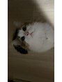 ケギライ アイブロウ 梅田店(kegirai) 猫ちゃん大好きです