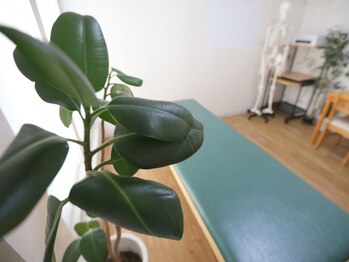 整体院ルーツケアの写真/「痩せたいけど運動は...」という方にぴったりのダイエットです♪プロの指導で、理想のBODYを手に入れて☆