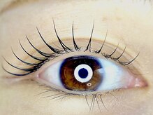 ミイズアイプラス(miy's eye+)