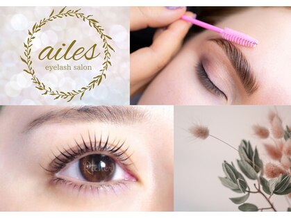 エール(ailes)の写真