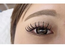 クルム(guleum)/ダブルフラット120束