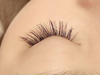 ロベリア 恵比寿(Lobelia)/フラットラッシュ