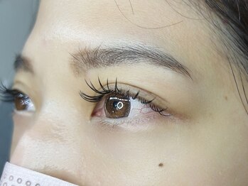 ケー(K)/ダブルフラットラッシュデザイン